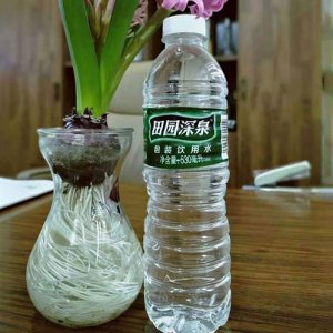 田園深泉包裝飲用水530ml
