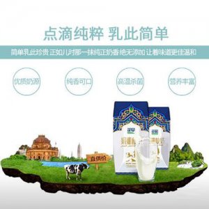 花園娟姍酸奶新疆常溫風味酸奶