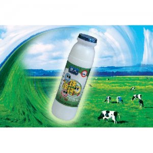 強人鐵鋅鈣奶飲料