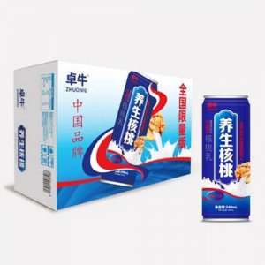 涪江源養(yǎng)生核桃植物蛋白飲料