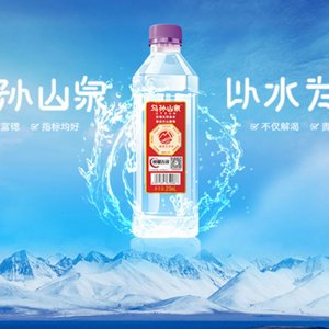 烏孫山泉天然山泉水310ml