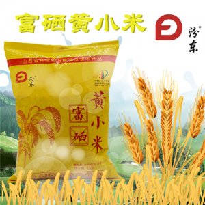 汾東富硒黃小米1kg
