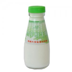 揚大巴氏鮮牛奶