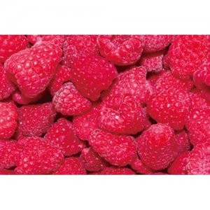 興隆堡速凍紅樹莓