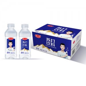 共品樂貴人邦蘇打飲料原味350mlX24