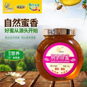 蜂起祥荊條蜂蜜食品500g