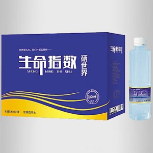 昊萊福硒世界飲用水360mlX12