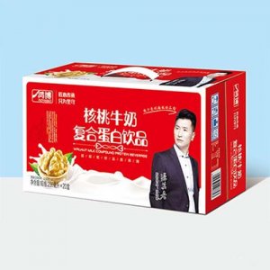 鴻博核桃牛奶復合蛋白飲品250毫升l×20盒
