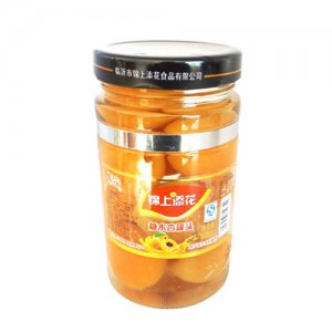 錦上添花糖水杏罐頭608g