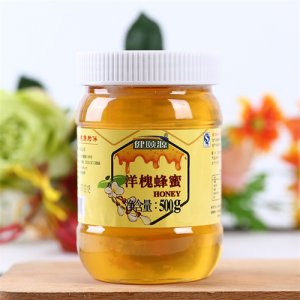 健頤源洋槐蜂蜜500g
