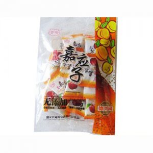 德興園嘉應子90g