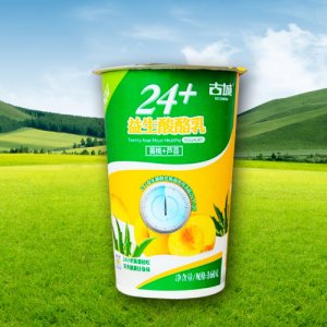 古城24+黃桃+蘆薈杯裝酸牛奶