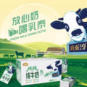 乳泰淳-純牛奶12盒裝