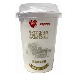 順恩凝固酸奶120g