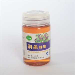 精靈頌荊條蜂蜜500g