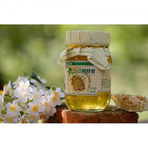 老山綠色洋槐蜂蜜500g