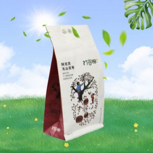 打谷塬阿克蘇天山貢棗袋裝