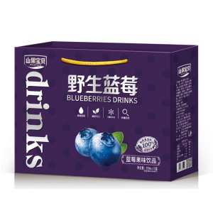 山果寶貝野生藍莓果味飲品250mlx12盒