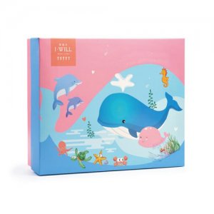 愛維爾海底探險隊喜餅禮盒