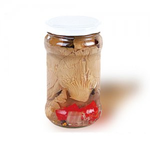 錦鵬調味平菇罐頭