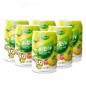 珍西琦刺梨汁248ml