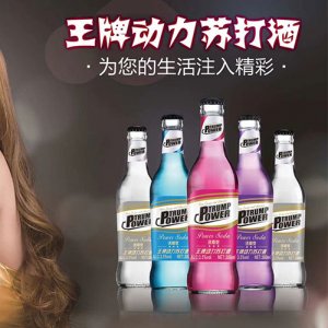 王牌動力蘇打酒300ml