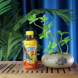 嗦雅莊園冰紅茶檸檬味350ml