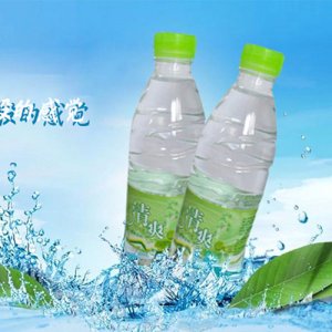 夏朵名泉薄荷水飲料500ml