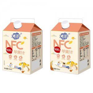 匯多滋NFC100蘋果汁458ml