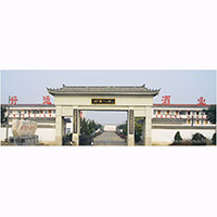 亳州市好運酒業有限責任公司