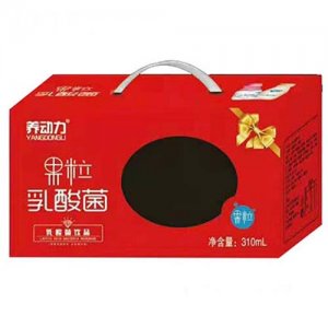 長澤乳業養動力果粒乳酸菌