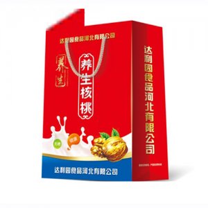 昌露養(yǎng)生核桃植物蛋白飲料手提裝