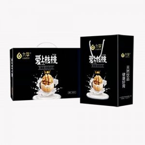 六萃愛上核桃復合蛋白飲品