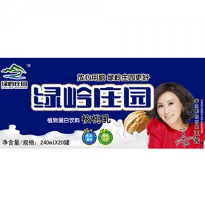 綠嶺莊園核桃乳240ml×20罐