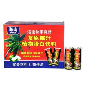 復(fù)原椰汁植物蛋白飲品盒裝