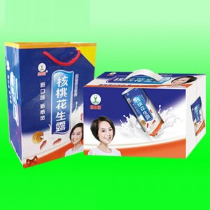 綠知園核桃花生露箱裝