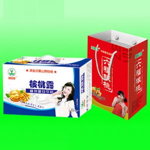 綠知園核桃露植物蛋白飲料套裝