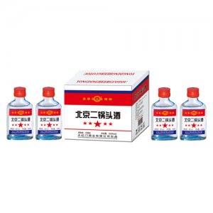 大紅門永定河北京二鍋頭酒56°100ml×40清香型白酒