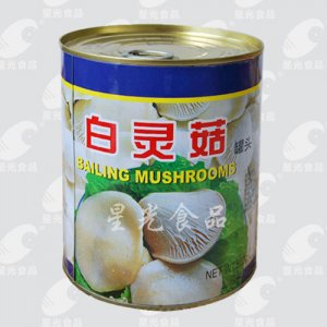 星光食品白靈菇罐頭