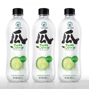 午后假期蘇打氣泡水480ml