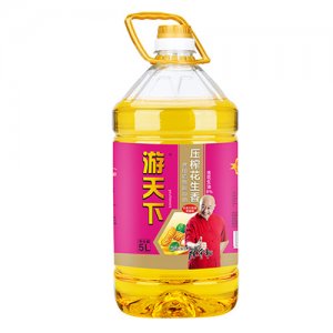 游天下壓榨花生香食用植物調和油