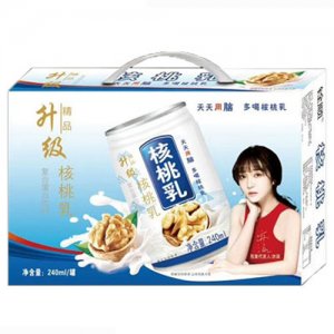 慶耀核桃乳復合蛋白飲料240ml箱裝