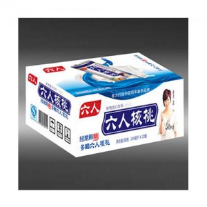 六人核桃240ml×20罐