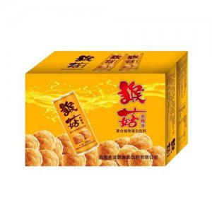 海之蘭猴菇養胃乳240ml箱裝