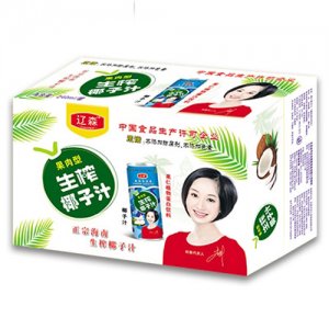 遼森果肉型生榨椰子汁箱子