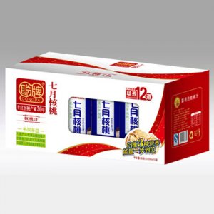 聰牌七月核桃多果多益240ml10罐