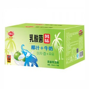 修花乳酸菌風味椰汁牛奶500ml×15瓶（大象）