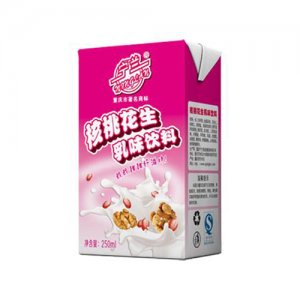 寧蘭核桃花生乳味飲料