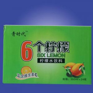 春尚好6個檸檬檸檬水飲料箱裝