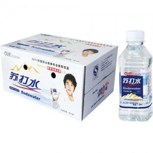 樂(lè)品坊蘇打水箱裝